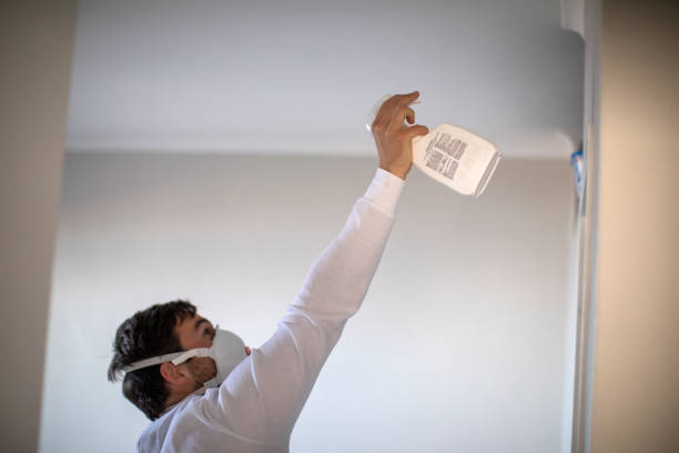 Best Home Mold Removal  in Ofallon, MO